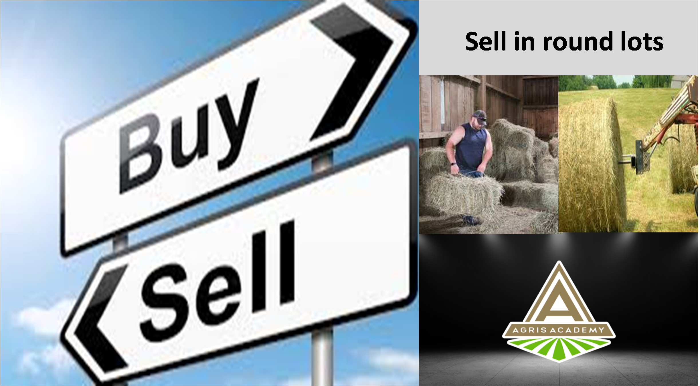 Nugget - Sell in Round Lots | AgrisAcademy