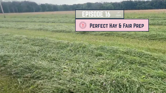 Perfect Haymaking Weather & Fair Prep...