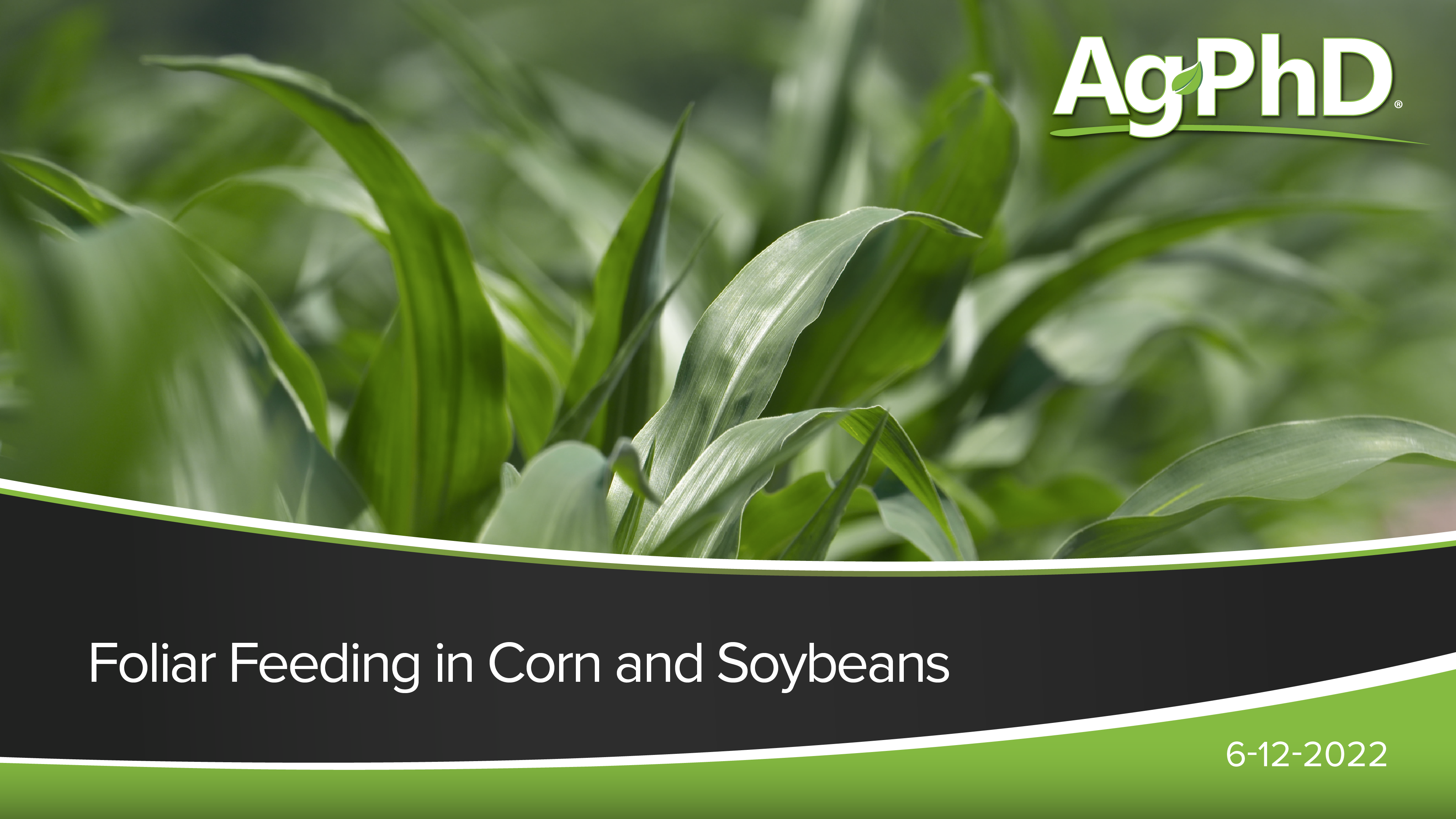 Foliar Feeding in Corn and Soybeans | Ag PhD