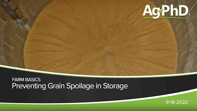 Preventing Grain Spoilage in Storage ...