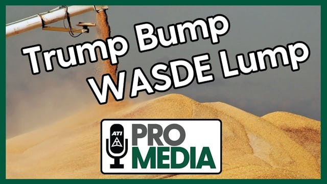 Trump Bump - WASDE Lump | ATI ProMedi...