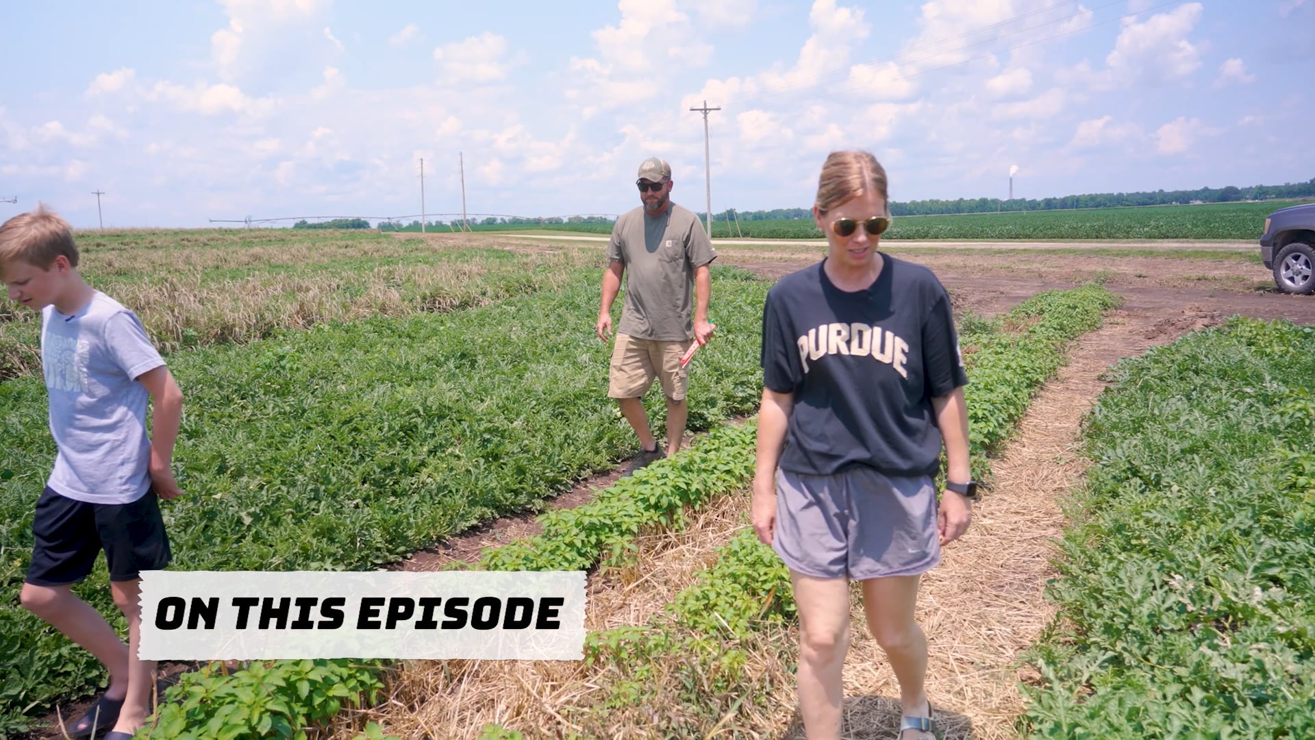 Watermelon Wide Open | 306 | Live to Farm