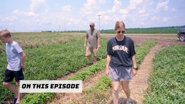 Watermelon Wide Open | 306 | Live to ...