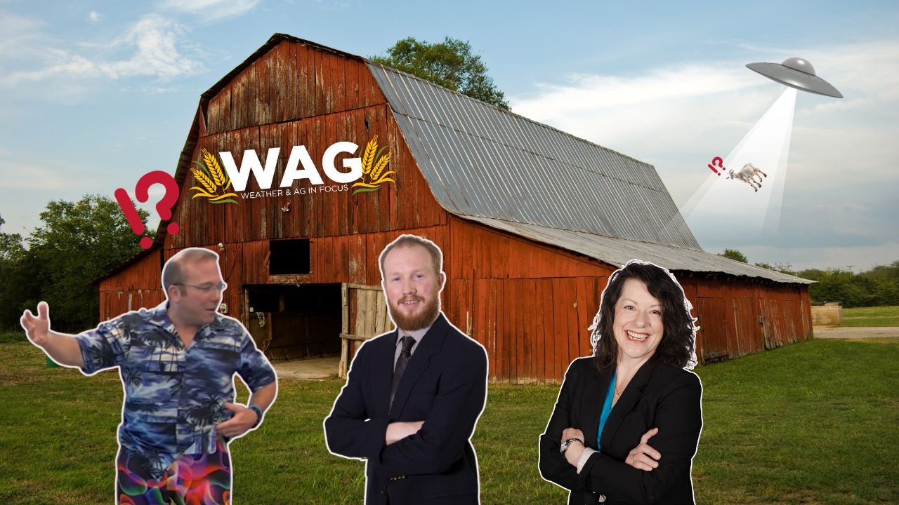 Terrifically Thrilling Thursday | WAG In Focus 10/19/23