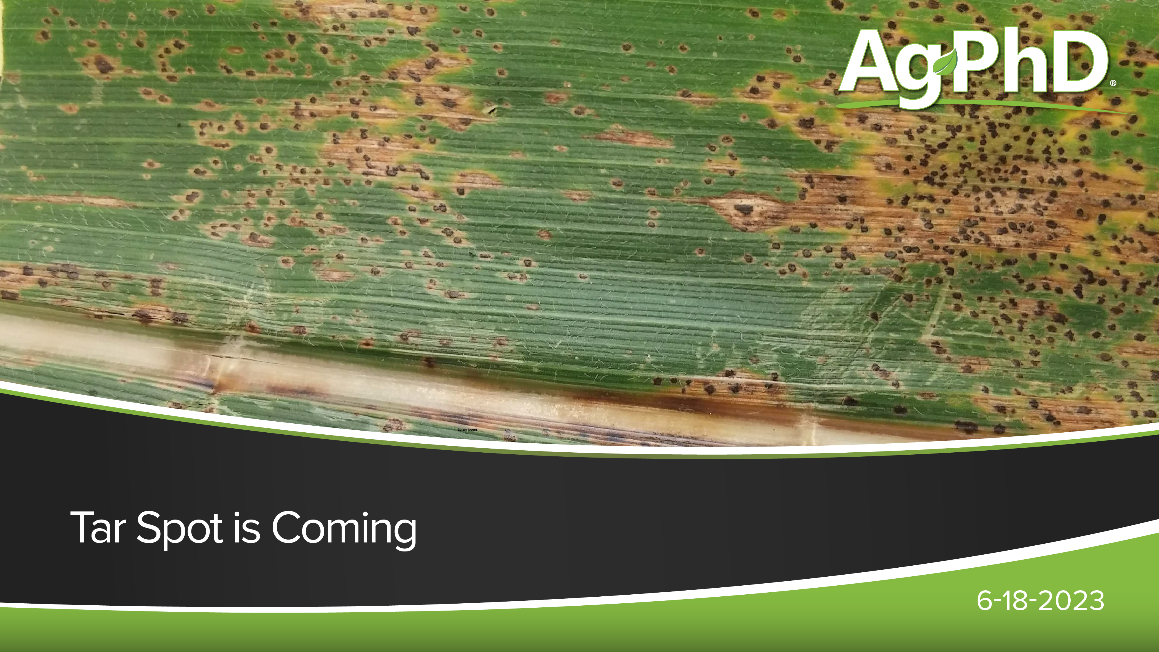Tar Spot is Coming | Ag PhD
