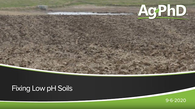 Fixing Low pH Soils