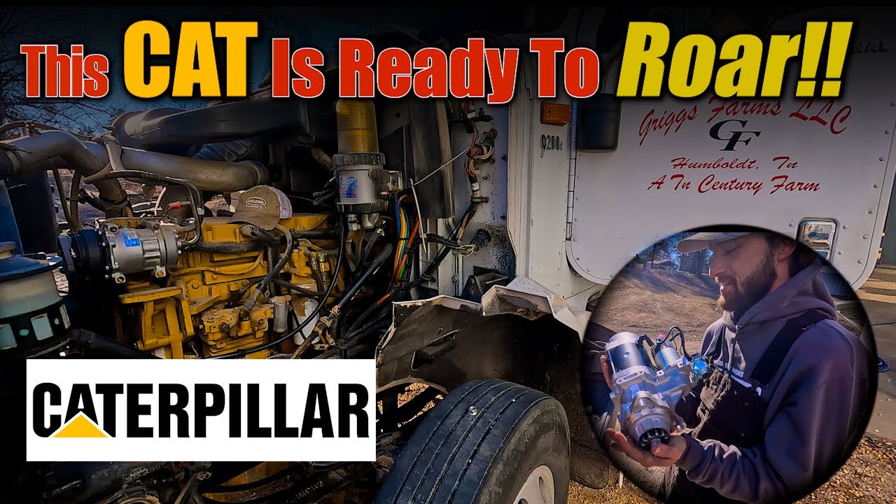 This CAT Is ReadyTo Roar Again!!!