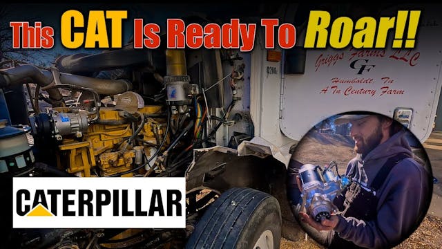 This CAT Is ReadyTo Roar Again!!!