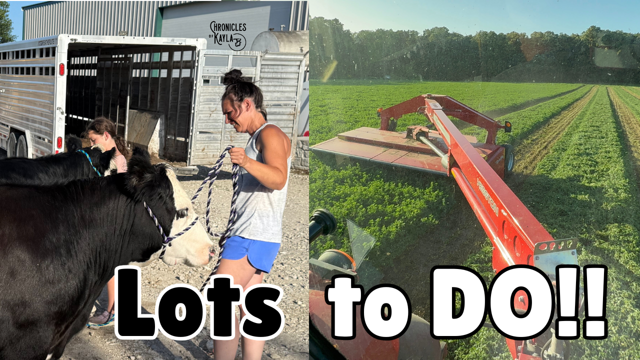 Mowing and Getting Show Ready | Chronicles of Kayla