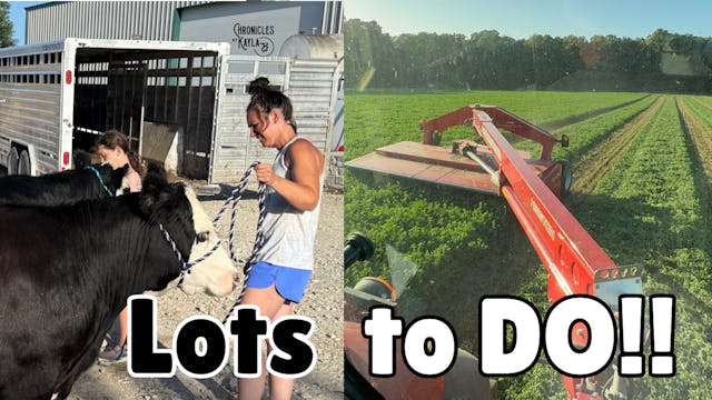 Mowing and Getting Show Ready | Chron...