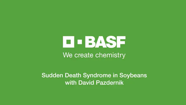 How to Identify and Prevent Sudden De...