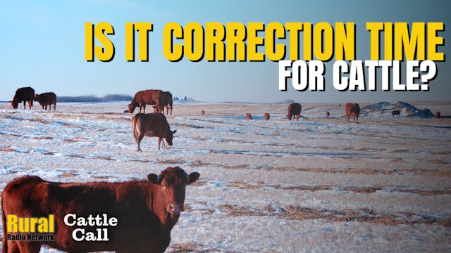 Is It Correction Time for Cattle? | C...