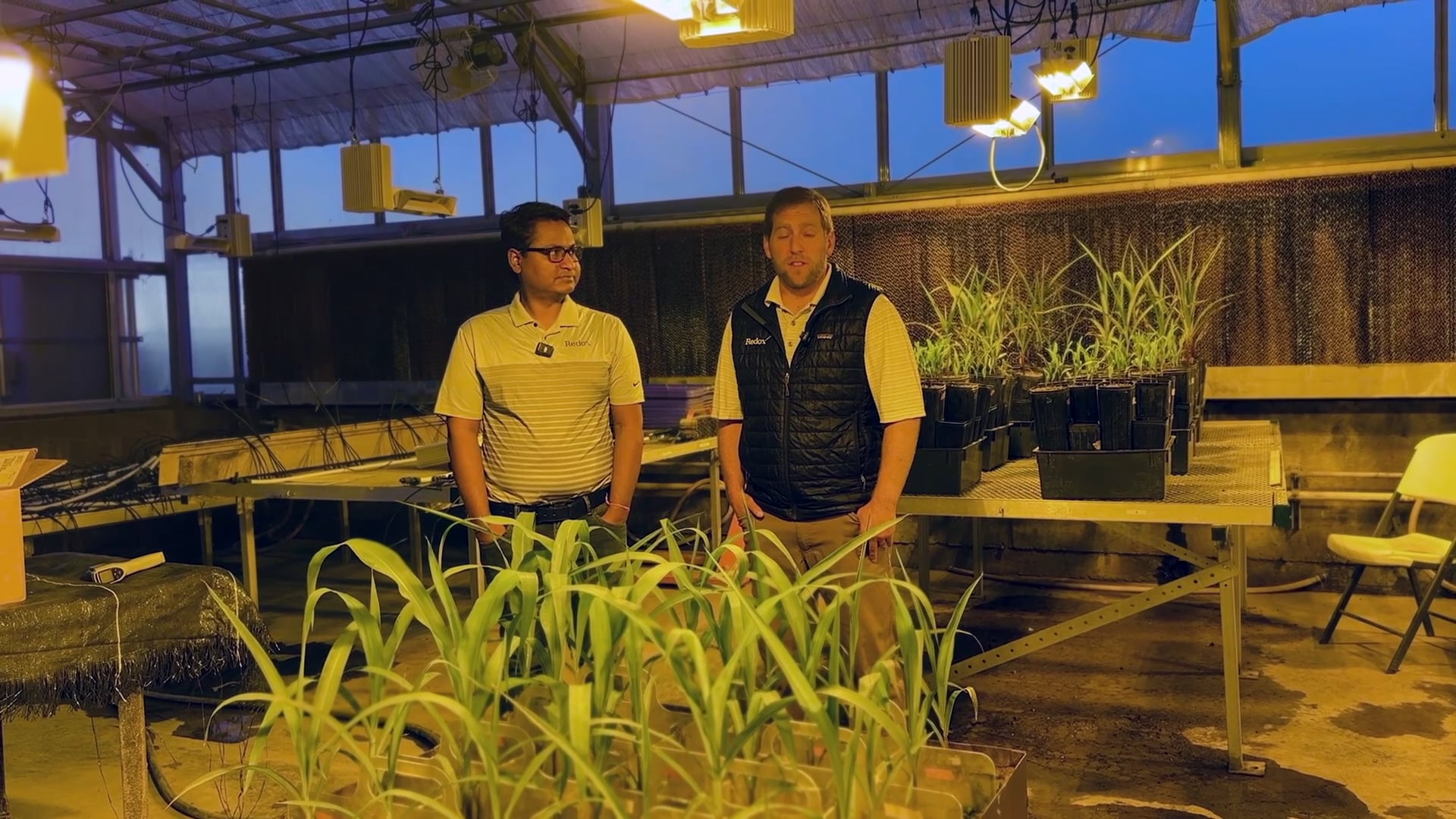 Research Priorities at Redox Bio-Nutrients | Redox