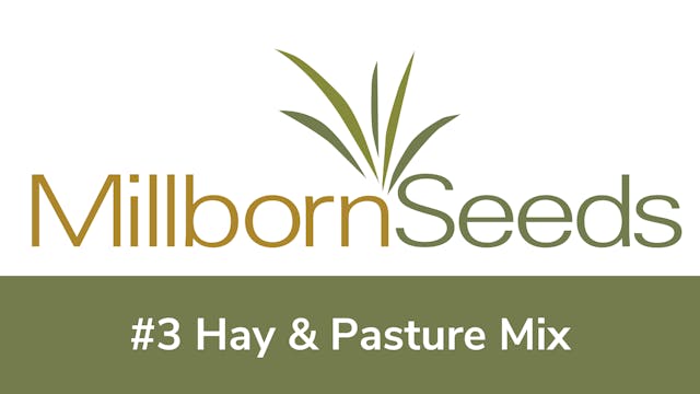 Millborn Seeds - #3 Hay & Pasture