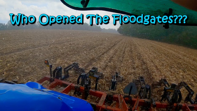 Who Opened The Floodgates??? | Griggs Farms
