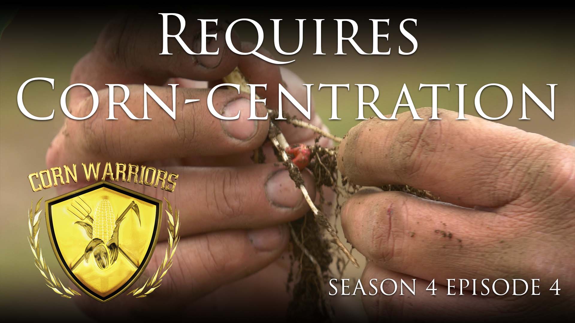 Corn Warriors | 404 | Requires Corn-centration