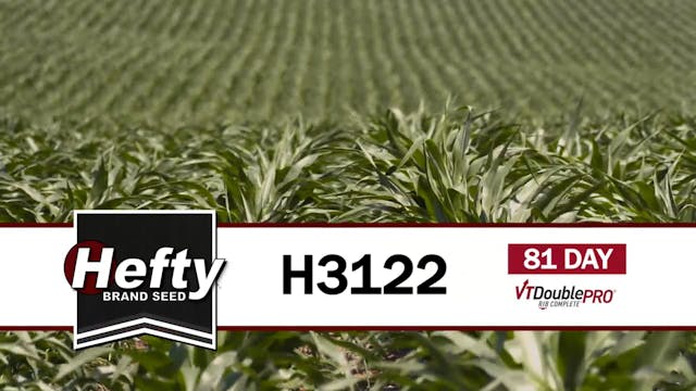 H3122 | 81-Day | VT2P