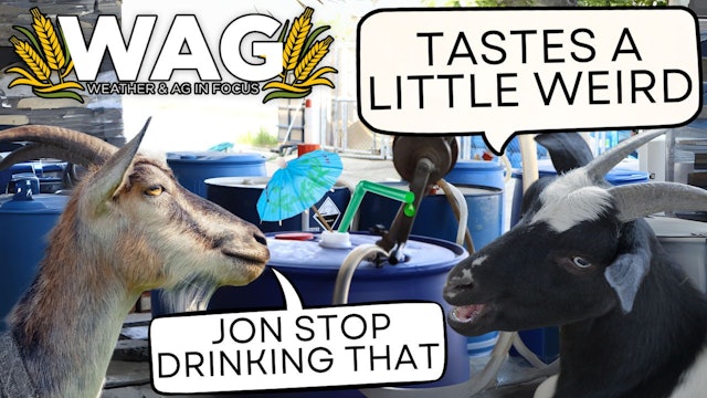 Hot Tankmixes, Sounds Like Umbrella Drinks | | WAG In Focus 4/1/24