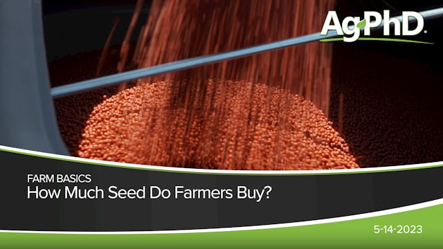 How Much Seed Do Farmers Buy? | Ag PhD