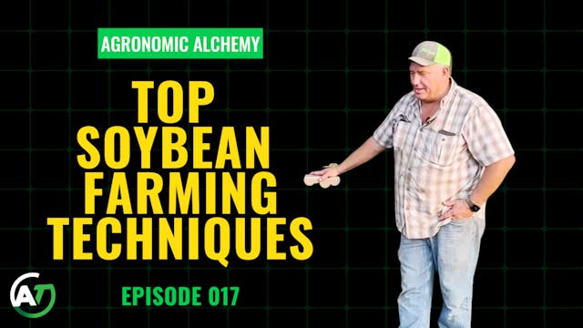 Optimizing Soybean Farming: Insights ...