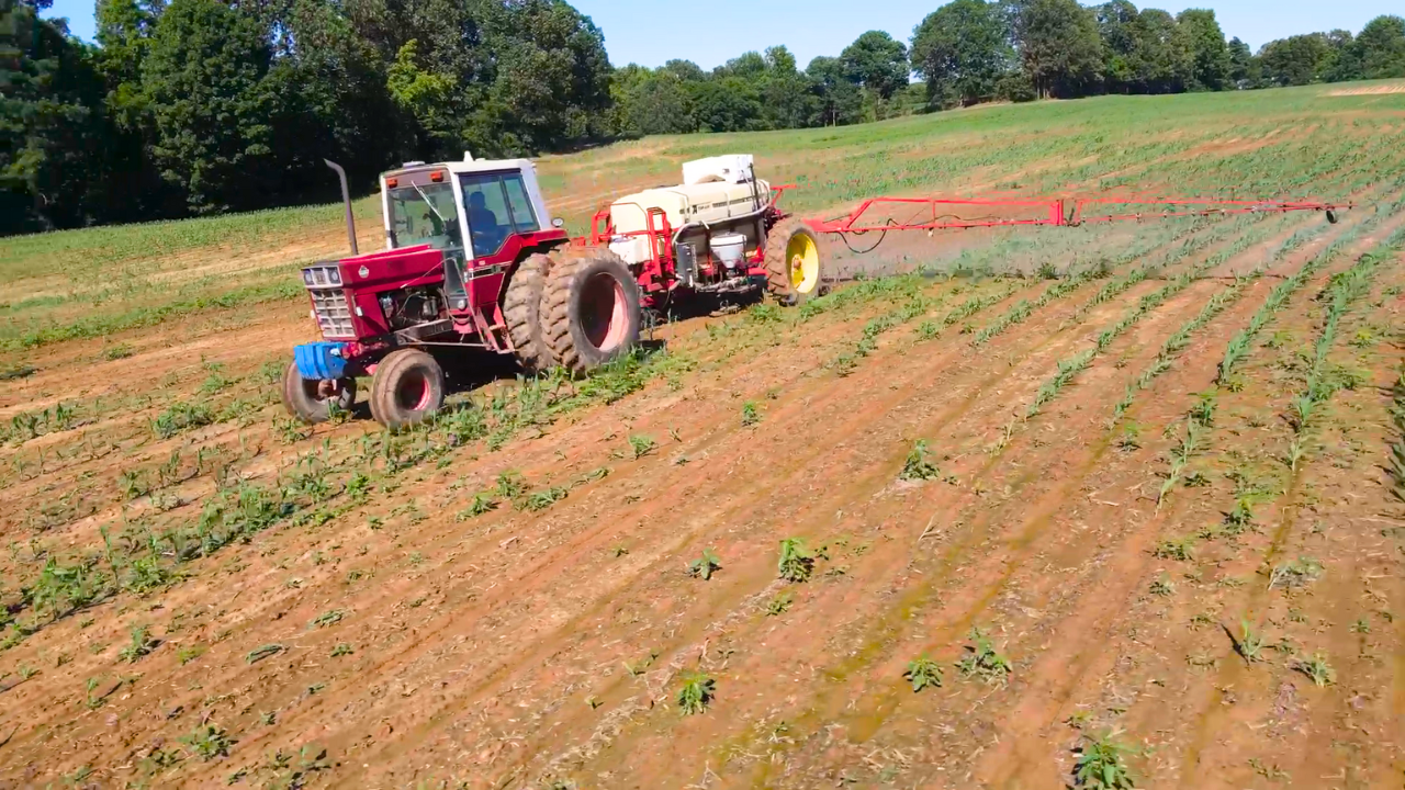 We Are Going to Go Play in the Mud!!! | Farmer King