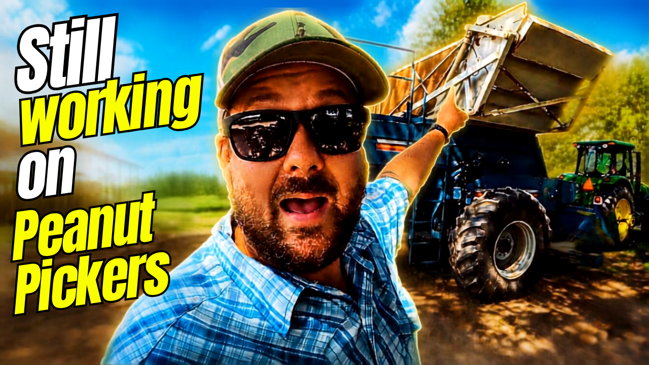 10 Days Till Peanut Harvest | Field Rows