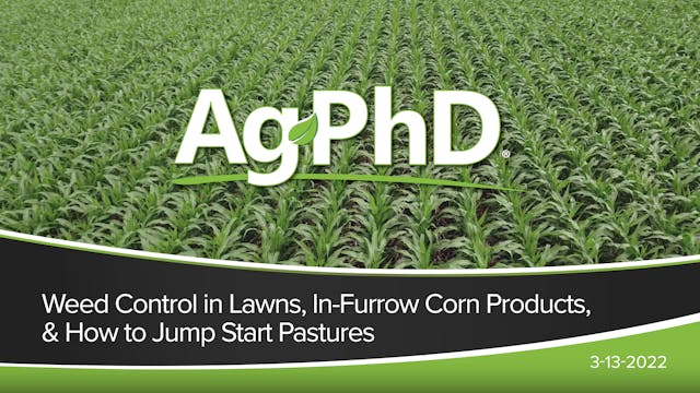 Weed Control in Lawns, In-Furrow Corn...
