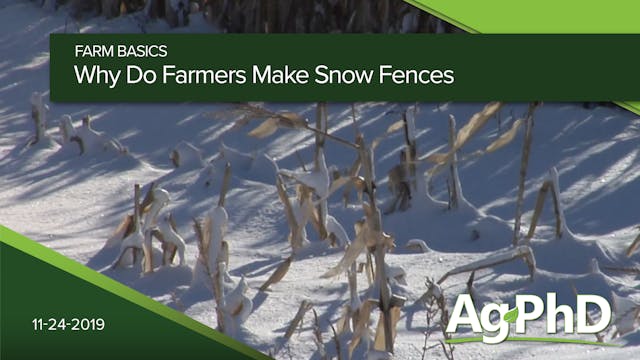Why Do Farmers Make Snow Fences?
