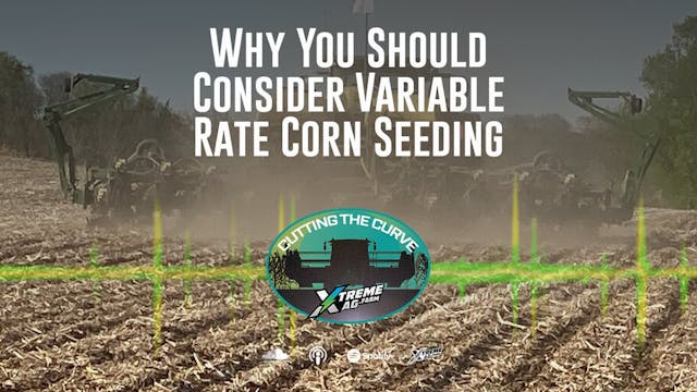 Why You Should Consider Variable Rate...