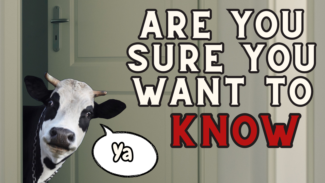 Cows Have Belly Buttons? | WAG in Focus 05-09-25