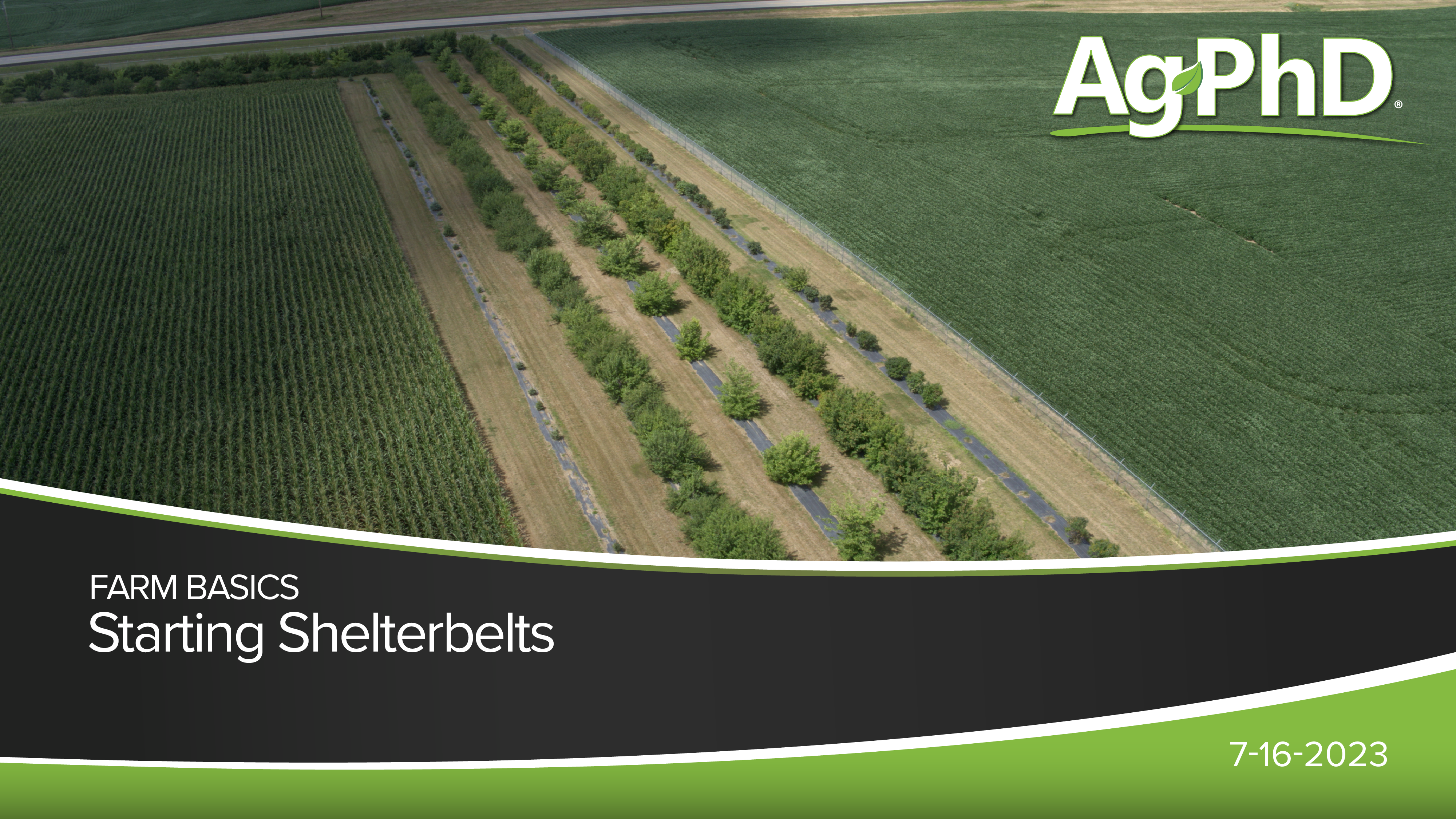 Starting Shelterbelts | Ag PhD