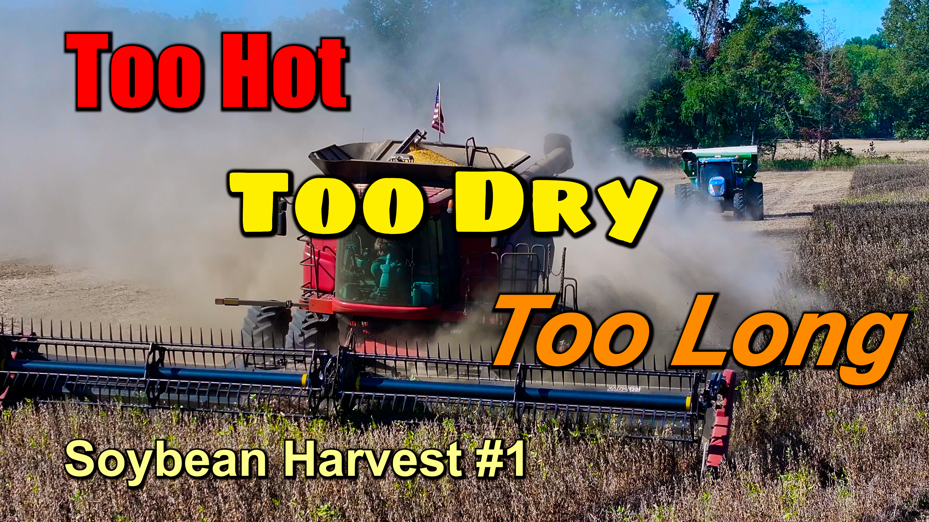 Worst Soybean Crop In 18 Years Soybean Harvest #1 | Griggs Farms