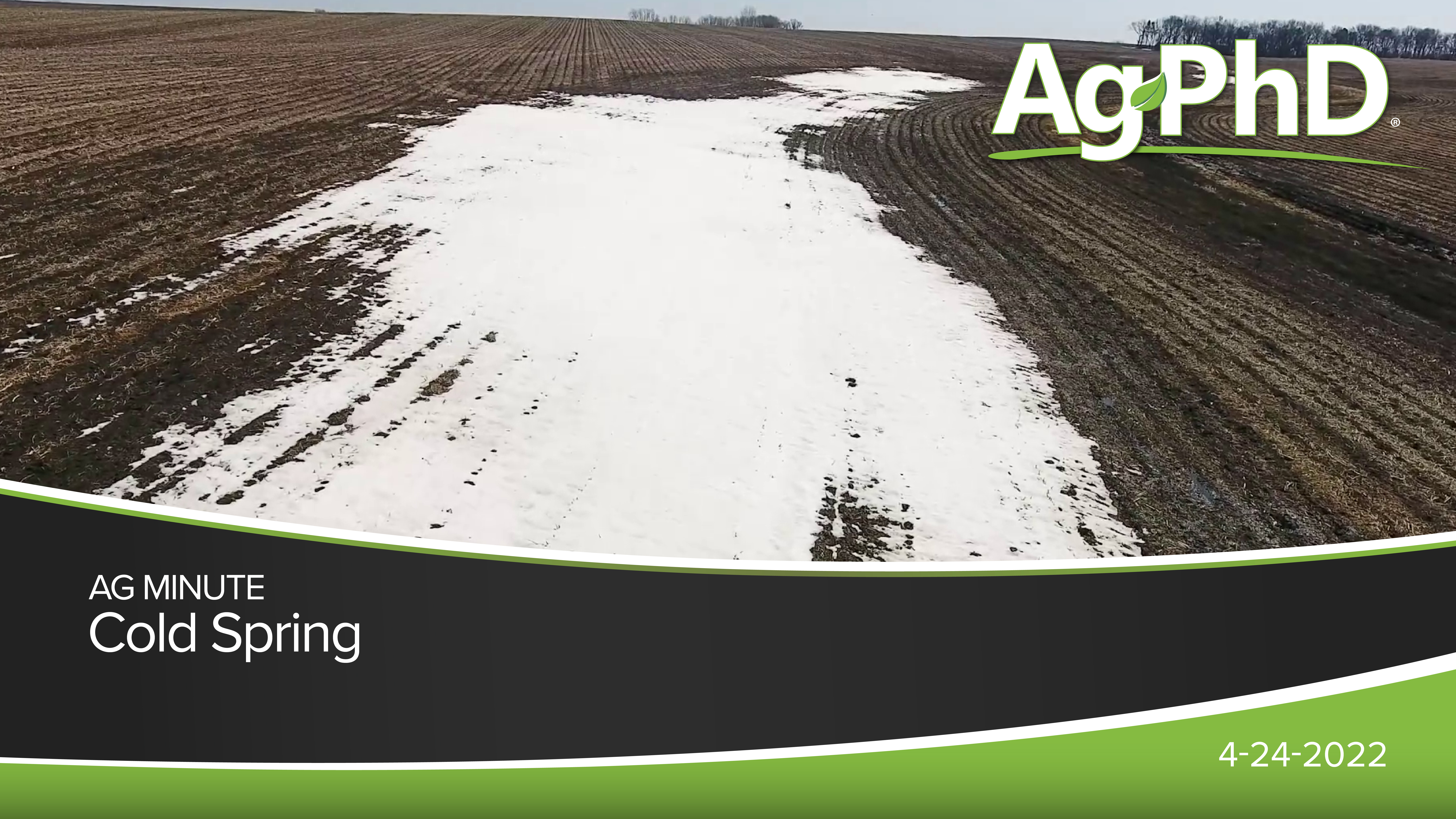 Cold Spring | Ag PhD