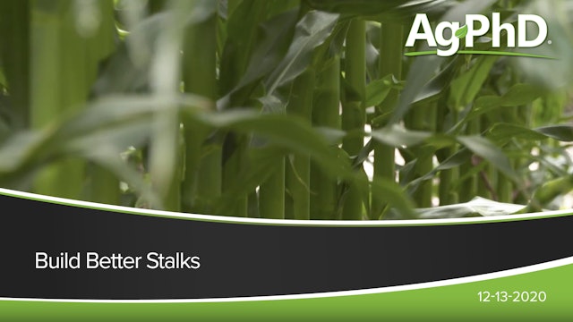 Build Better Stalks | Ag PhD