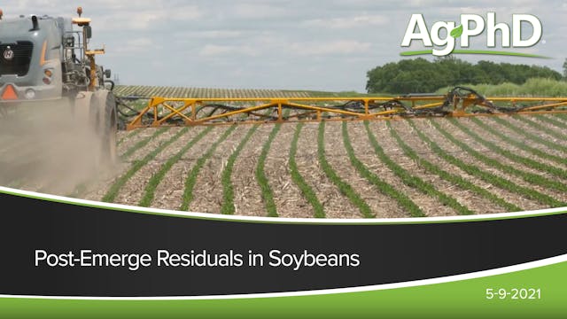 Post Emerge Residuals In Soybeans | A...