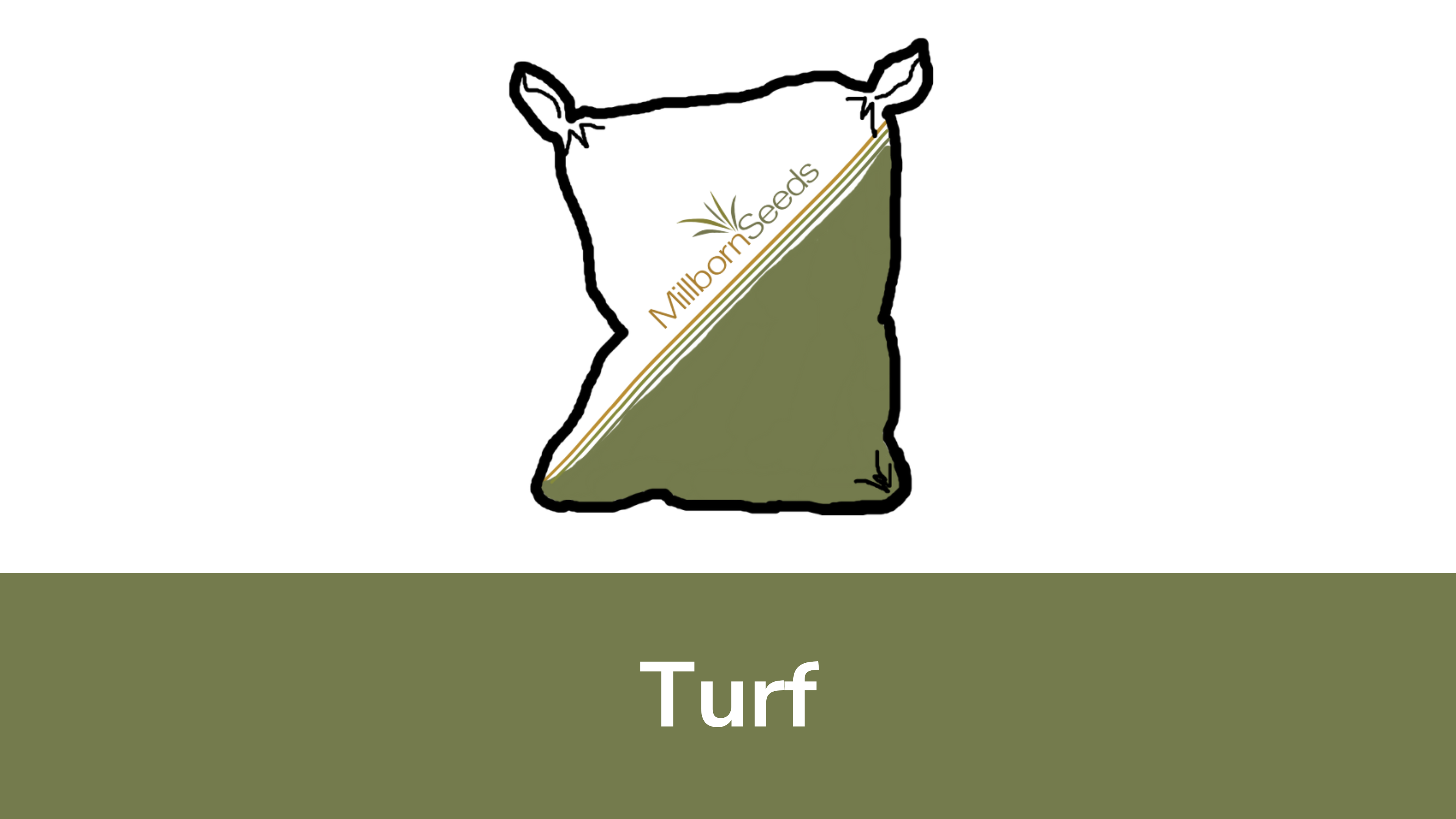 Turf