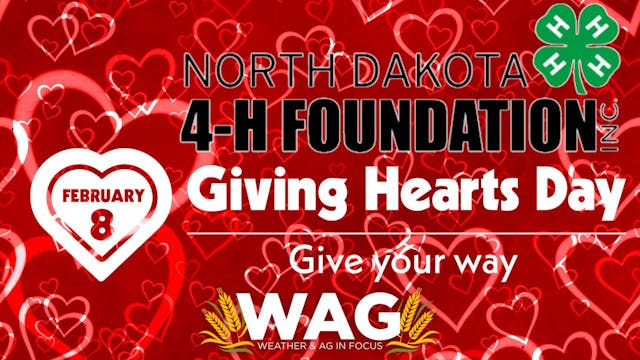 Giving Hearts Day for 4-H | WAG in Fo...