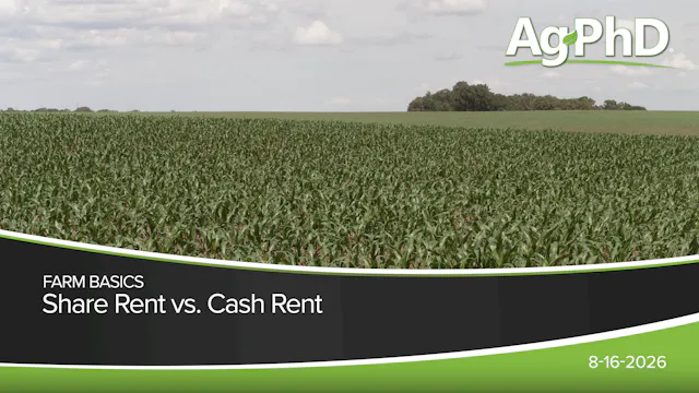Share Rent vs. Cash Rent | Ag PhD