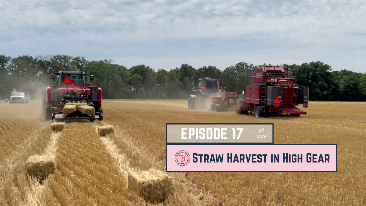 Wheat Straw Harvest in High Gear | Chronicles of Kayla