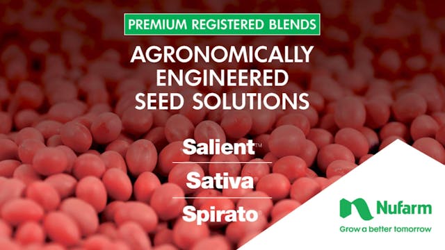 Ready-to-Use Blends Simplify Your Tre...