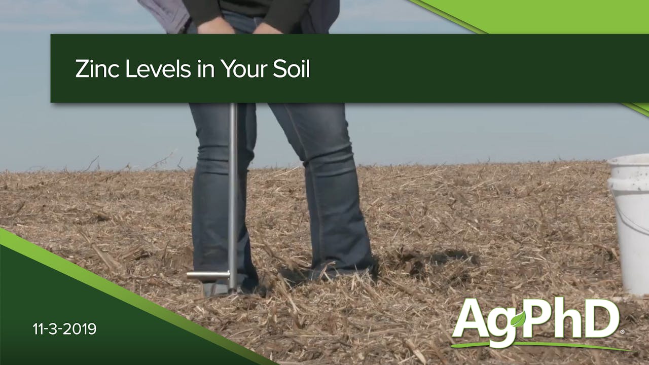 Zinc Levels in Your Soil 2019 AcresTV