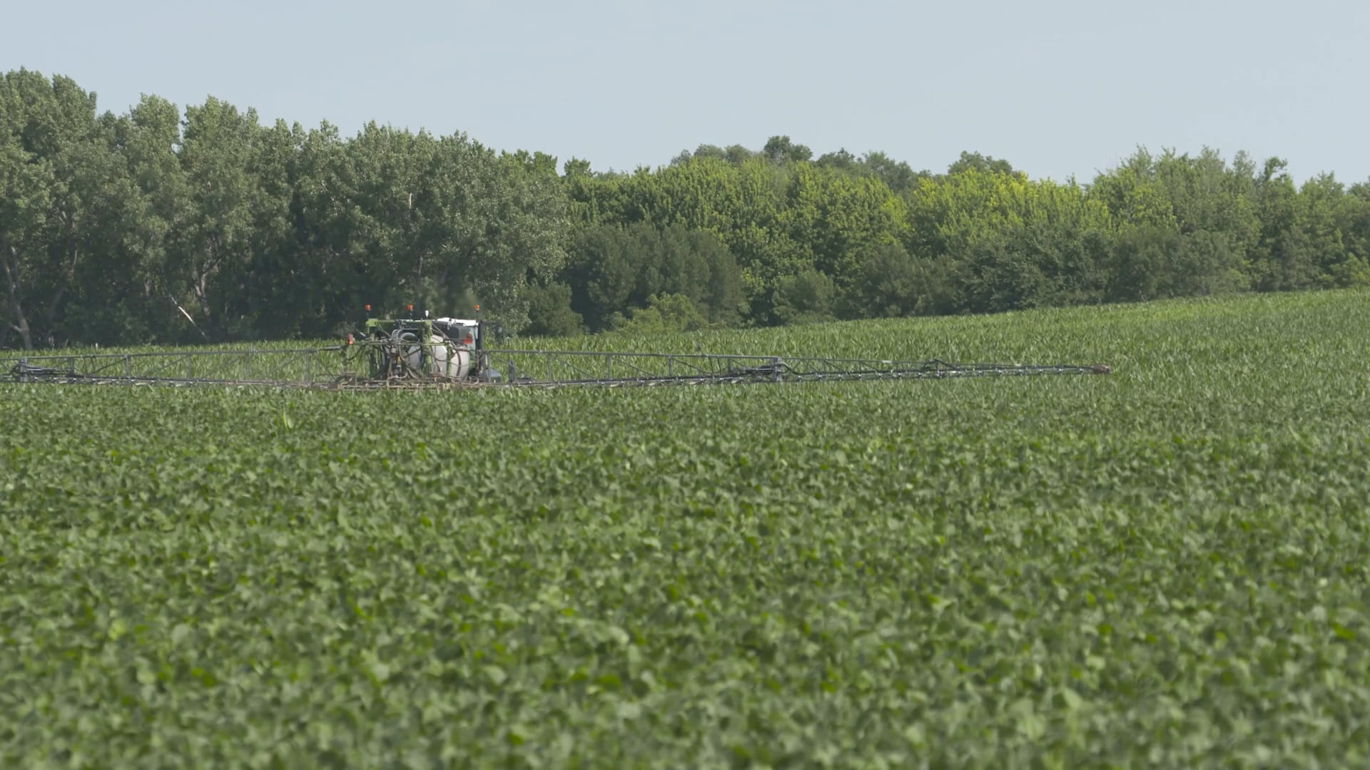 Secondary Nutrient Deficiencies | AgroLiquid NS