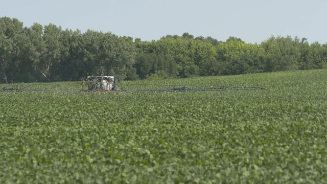 Secondary Nutrient Deficiencies | Agr...