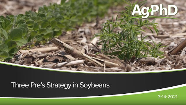 Three Pre's Strategy in Soybeans | Ag...