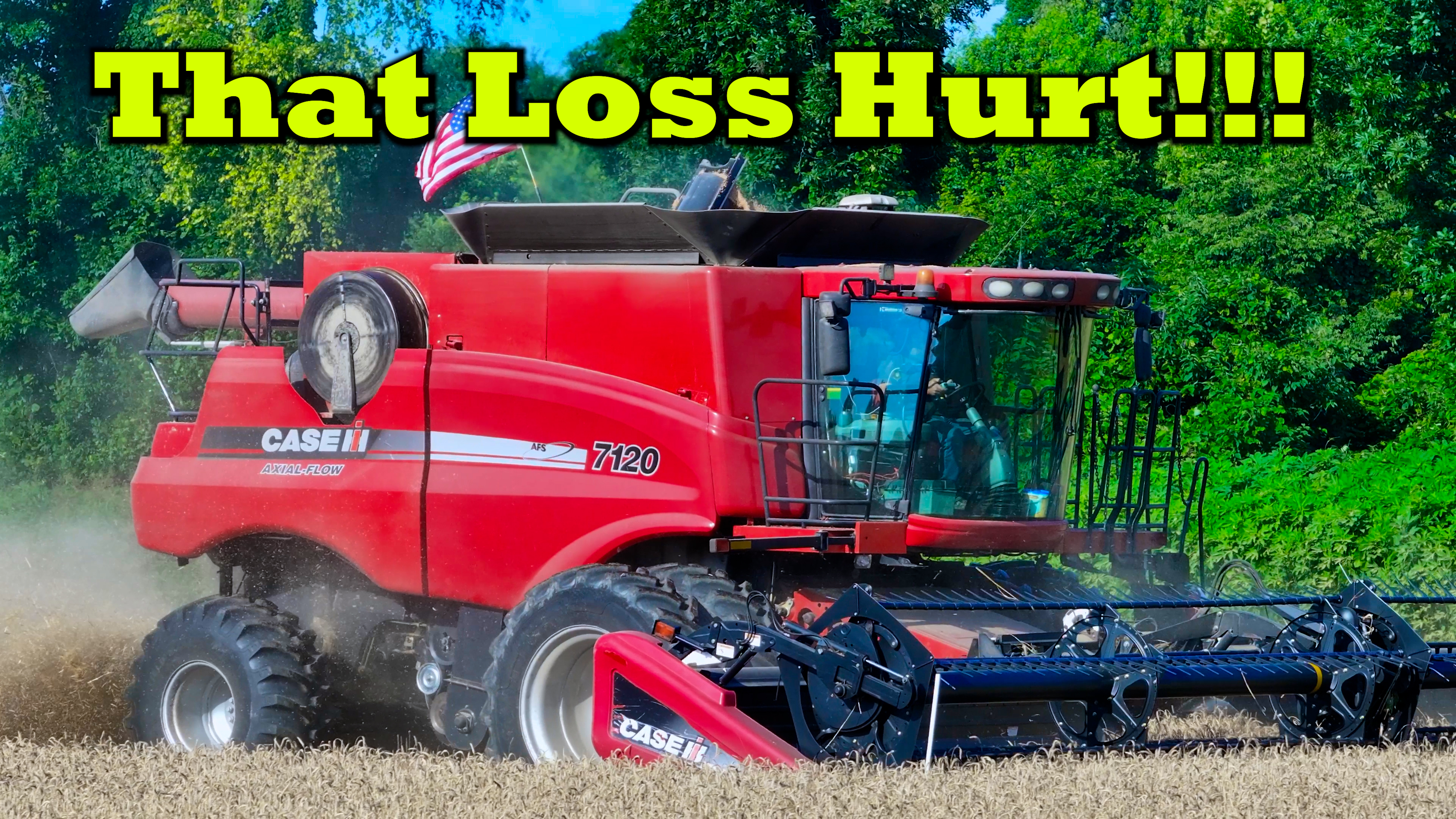 How Much Money Was Lost On The Wheat Crop | Griggs Farms