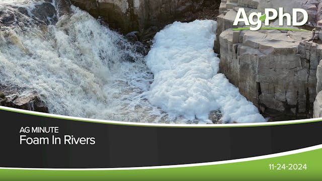 Foam in Rivers | Ag PhD