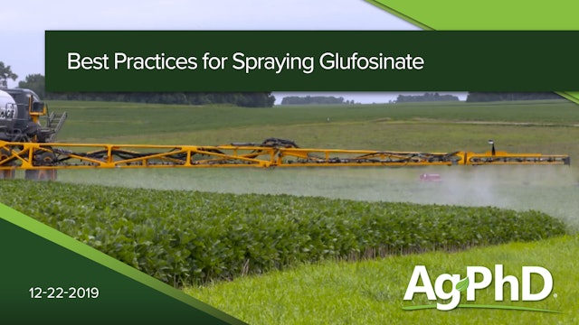 Best Practices for Spraying Liberty (Glufosinate)
