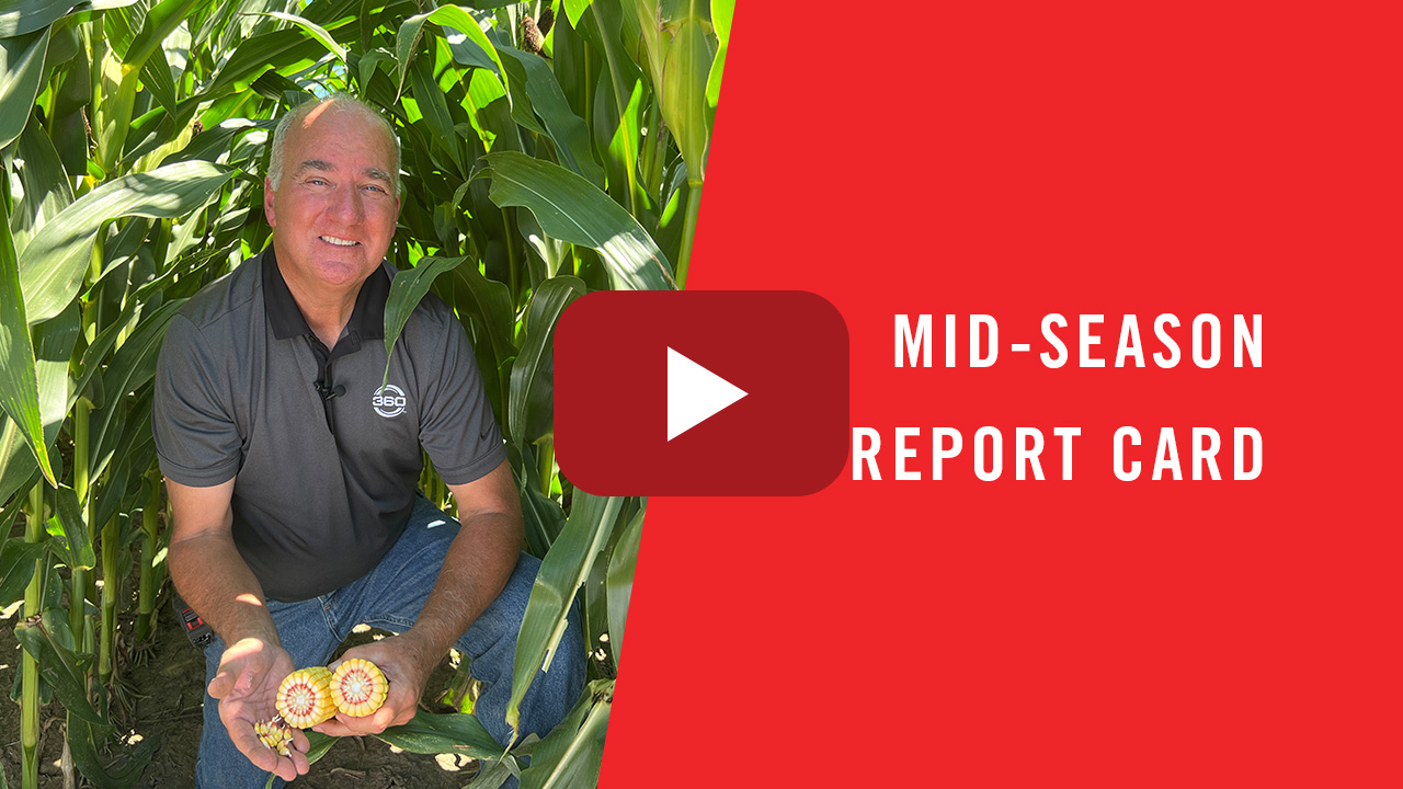 Mid-Season Report Card | 360 Yield Center