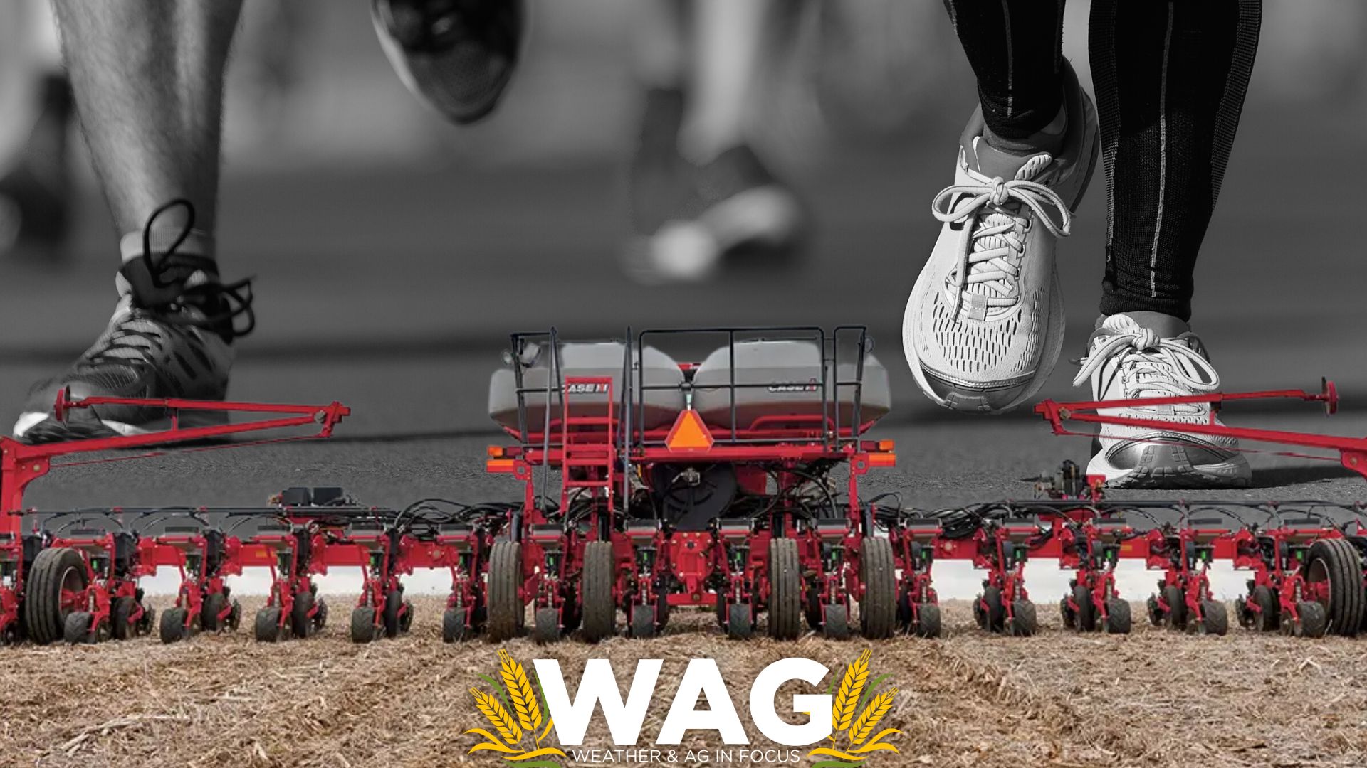 Running behind in planting - WAG In Focus 5-19-23