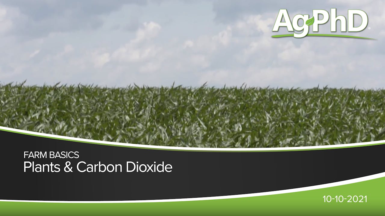 Plants & Carbon Dioxide 2021 AcresTV